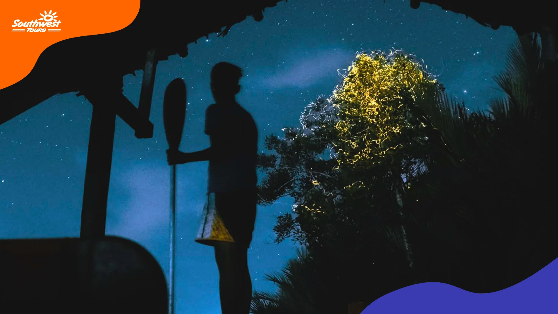 Firefly Watching 1